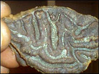 O pedaço de carne tem inscrições com o que parece ser a palavra Alá