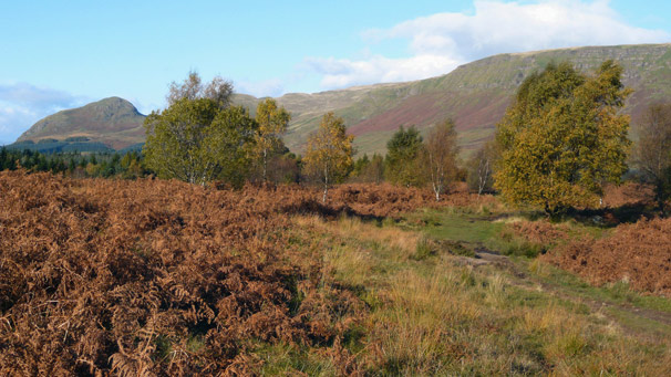 A view of brown bracken on the hills with a view to mountains in the distance