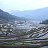 Rice Terraces in Yuanyang, Yunnan Province (photo by World Routes team)