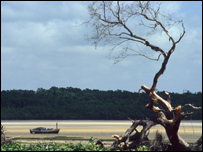 प्रकृति