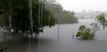 blo_amazon_rain416.jpg
