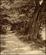 A historic shot of Coate Water