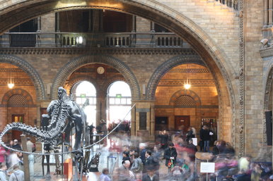 Waiting for the next calamity