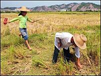 Nông dân Trung Quốc