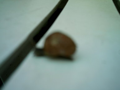 Im ready for my close-up