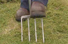 Aerating lawn