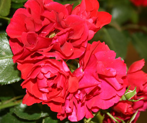 R. ‘Moment in Time’