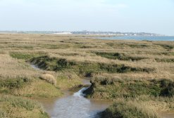 Essex saltmarsh, East Anglia