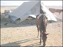 د کوچيانو خيمه 