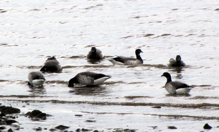 BBC Radio Foyle - Breathing Places Gallery
