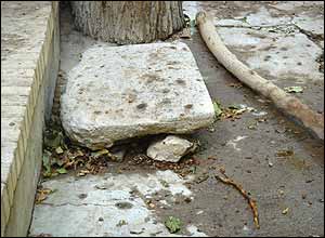 رويا دهقان پور