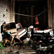 Review of New Inheritors