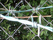 Barbed wire