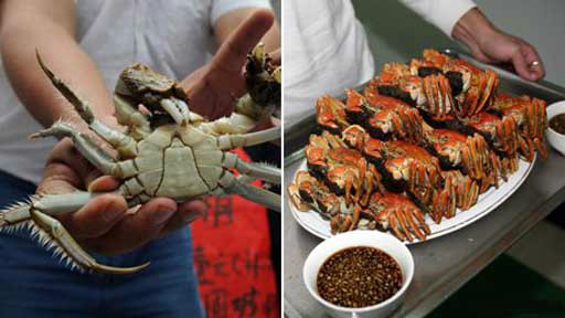 吃螃蟹