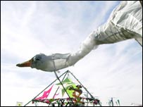 Sunrise Celebration Festival