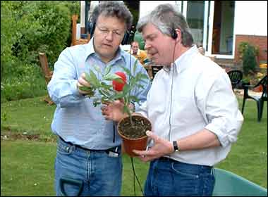 Planting for the bewildered 