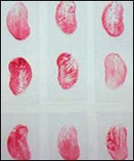 Search by Grace Newman 