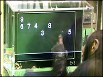 Chimpanzé durante teste de memória (Foto: Matsuzawa/Current Biology)