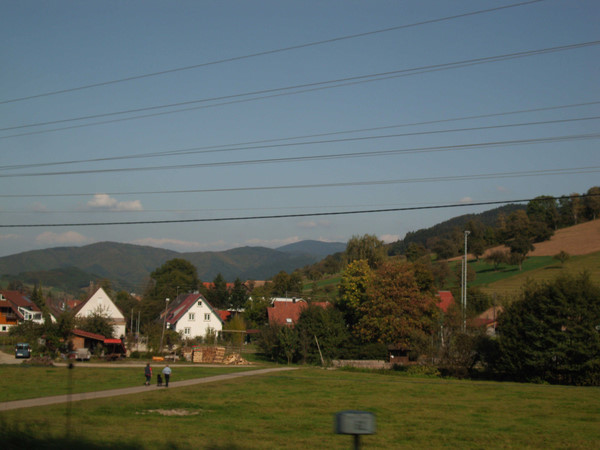 valley in the Black Forest Mountains