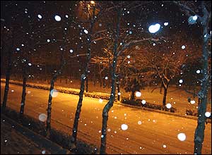 بهزاد مرادی