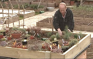 Joe builds a green roof