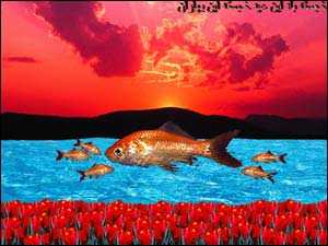 مرتضی شيرانی