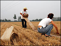 Nông dân Trung Quốc làm việc trên cánh đồng