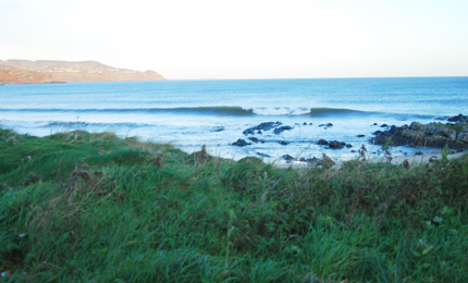 Shamus finds some easy riding dawn perfection.