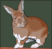 د سويانو پلار