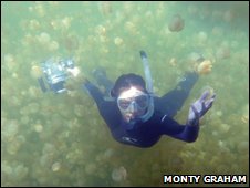 研究人员与海蜇