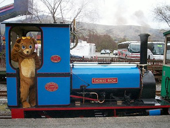 'Gyrrwr newydd i Thomas Bach' llun