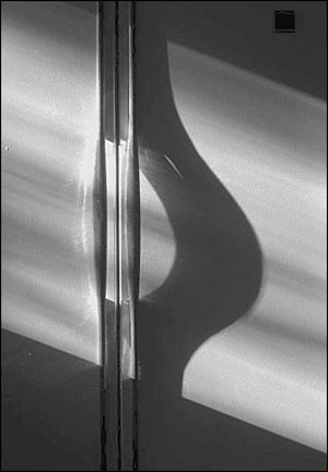 عکس از کاوه حميدی