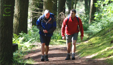 walking back up to the carpark