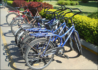 bicycles in a rack