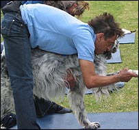 Homem e cão, unidos pela ioga