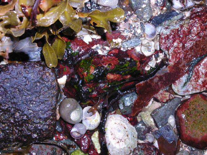 gotto love the beach