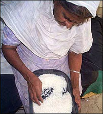 बासमती चावल