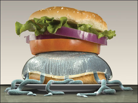 'Jellyfish Burger' (ilustração: David Beck, Clarkson University, e Jennifer Jacquet, University of British Columbia)