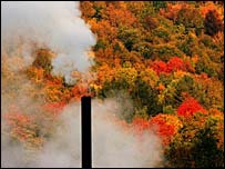 Smoke from a chimney