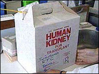 गुर्दा (किडनी)