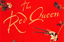 Margaret Drabble: The Red Queen