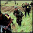 Guerrilheiros das Farc