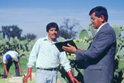 Witnessing to a worker in a field of succulent cactuses