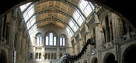 The Natural History Museum