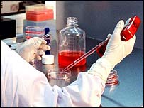 سلول های پايه توان بالقوه بدل شدن به کليه انواع سلول های بدن را دارند