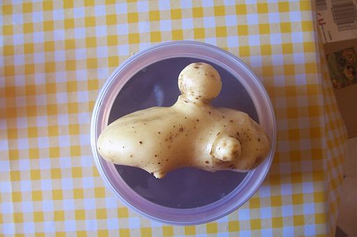 Alien Tattie from Outer Space