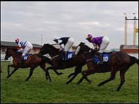95.5 horse race at Taunton Race Course