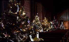 Christmas trees in Dalton St Mary's Church