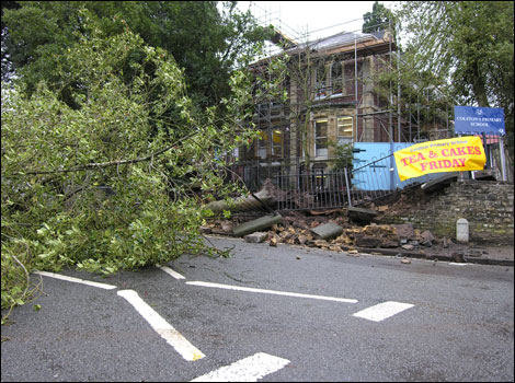 Fallen tree on Cotham Grove