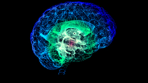 "Information rather than physiology... "